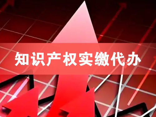 淮北知识产权实缴资本代办